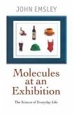 Molecules at an Exhibition (eBook, ePUB)