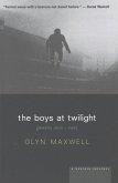 Boys at Twilight (eBook, ePUB)