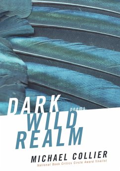 Cover Dark Wild Realm (eBook, ePUB)