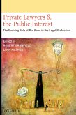 Private Lawyers and the Public Interest (eBook, PDF)