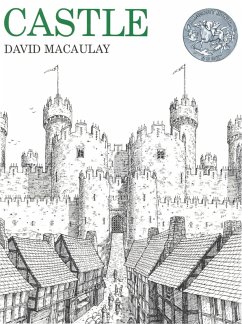 Castle (eBook, ePUB) - Macaulay, David