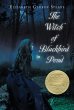 Witch of Blackbird Pond (eBook, ePUB) - Bild 1