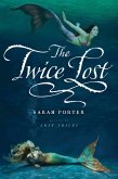 Twice Lost (eBook, ePUB)