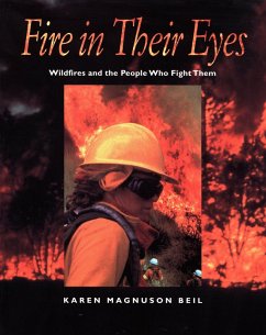Fire in Their Eyes (eBook, ePUB) - Beil, Karen Magnuson