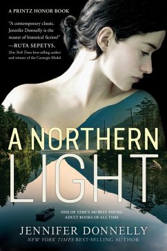 Northern Light (eBook, ePUB) - Donnelly, Jennifer