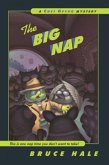 Big Nap (eBook, ePUB)