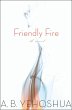 Friendly Fire (eBook, ePUB) - Bild 1