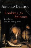 Looking for Spinoza (eBook, ePUB)