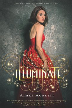 Illuminate (eBook, ePUB) - Agresti, Aimee