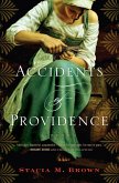 Accidents of Providence (eBook, ePUB)