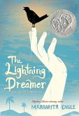 Lightning Dreamer (eBook, ePUB)