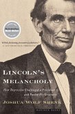 Lincoln's Melancholy (eBook, ePUB)