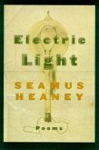 Electric Light (eBook, ePUB)