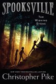 The Wishing Stone (eBook, ePUB)