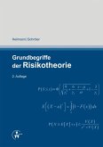 Grundbegriffe der Risikotheorie (eBook, PDF)