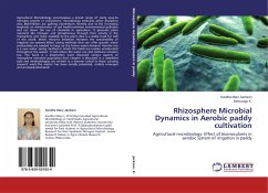 Rhizosphere Microbial Dynamics in Aerobic paddy cultivation