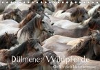 Dülmener Wildpferde - Gefährdete Nutztierrasse (Tischkalender immerwährend DIN A5 quer)