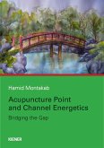 Acupuncture Point and Channel Energetics