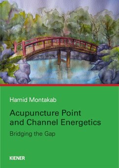 Acupuncture Point and Channel Energetics - Montakab, Hamid