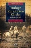 Türkiye Kurulurken Kürtler 1916 -1920