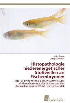 Histopathologie niederenergetischer Stoßwellen an Fischembryonen - Stein, Frithjof;Dahmen, Georg P.