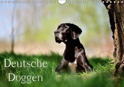 Deutsche Doggen / Geburtstagskalender (Wandkalender immerwährend DIN A4 quer) - Noack, Nicole