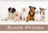 Bunte Pfoten / Geburtstagskalender... - Bild 1