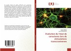 Evolution de l¿état de conscience lors de stimulations transcraniennes