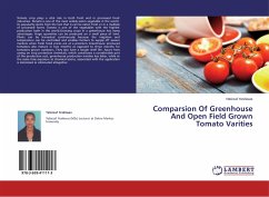 Comparsion Of Greenhouse And Open Field Grown Tomato Varities