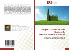 Rapport d'alternance de Gestion de l'Environnement Industriel - Despinasse, Romain