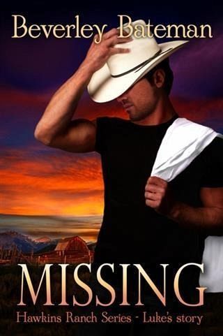 Missing (eBook, ePUB)