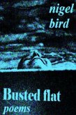 Busted Flat (eBook, ePUB)