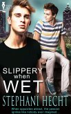 Slippery When Wet (eBook, ePUB)
