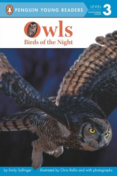 Owls - Sollinger, Emily