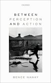 Between Perception and Action