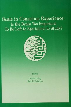 Cover Scale in Conscious Experience (eBook, PDF)