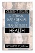 Current Issues in Lesbian, Gay,... - Bild 1
