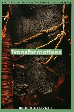 Cover Transformations (eBook, ePUB)