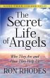 Secret Life of Angels - Bild 1