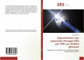 Segmentation non supervisée d'images RSO par CMC sur fenêtre glissante