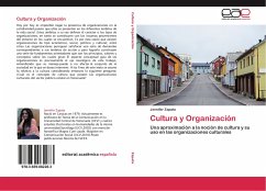 Cultura y Organización