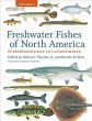 Freshwater Fishes of North America - Bild 1