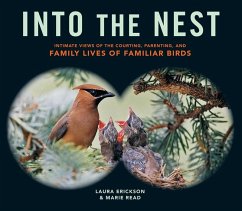 Cover Into the Nest