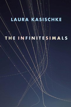 The Infinitesimals - Kasischke, Laura