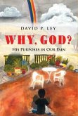 Why, God? His Purposes in Our Pain