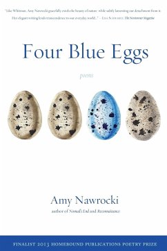 Four Blue Eggs - Nawrocki, Amy