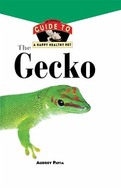 The Gecko - Pavia, Audrey