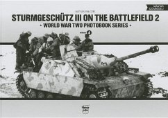 Sturmgeschutz III on the Battlefield - Pánczél, Mátyás