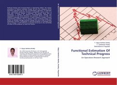 Functional Estimation Of Technical Progress