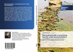 Bio-hydrozincite: a promising tool for water bioremediation - Medas, Daniela